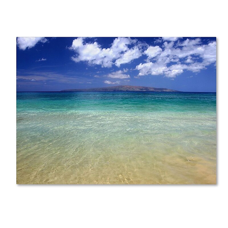 Trademark Fine Art 'Hawaii Blue Beach' 22" x 32" Canvas Art image 1