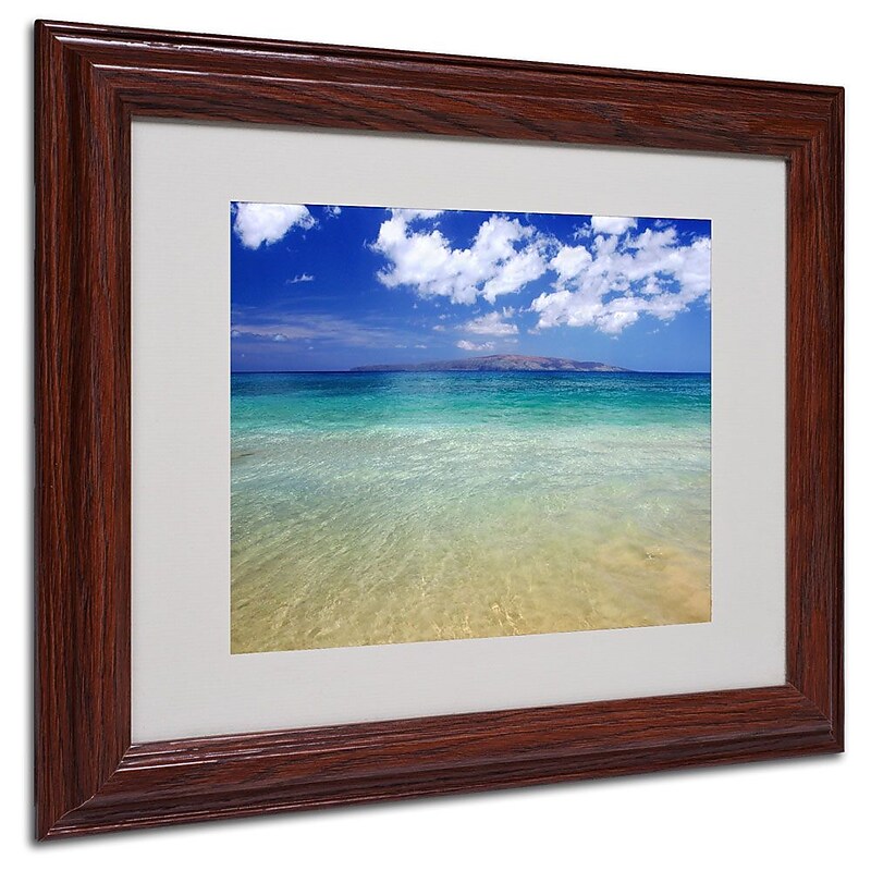 Trademark Fine Art 'Hawaii Blue Beach' 11" x 14" Wood Frame Art image 1