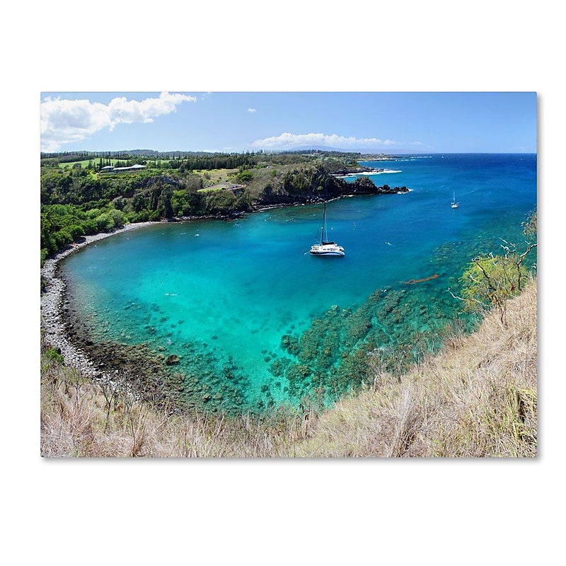 Trademark Fine Art 'Honolua Bay' 22" x 32" Canvas Art image 1