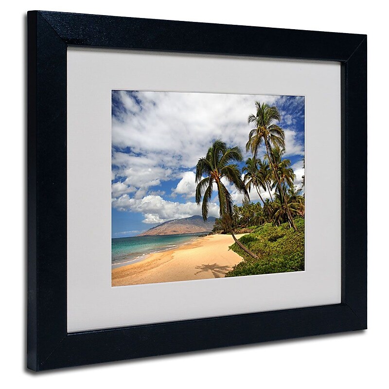 Trademark Fine Art 'Kamaole Tropical' 11" x 14" Black Frame Art image 1