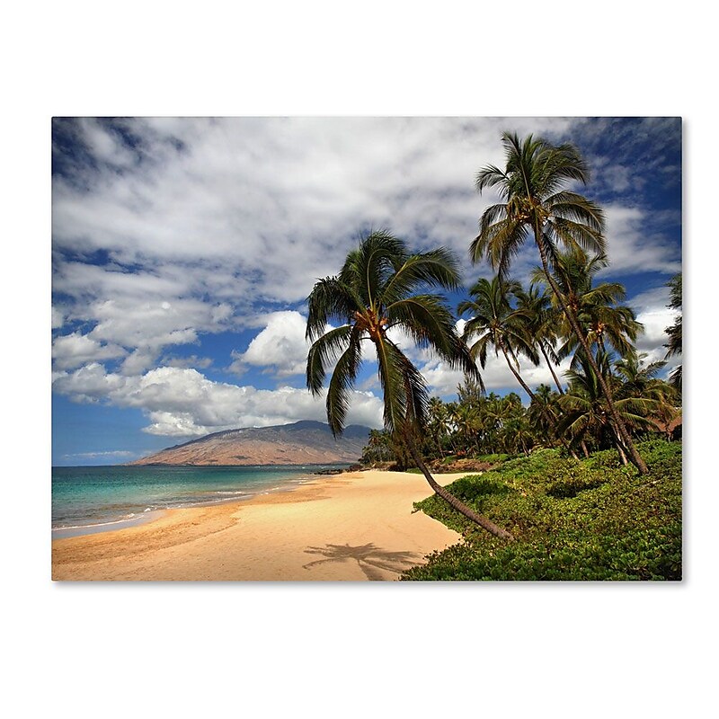 Trademark Fine Art 'Kamaole Tropical' 22" x 32" Canvas Art image 1