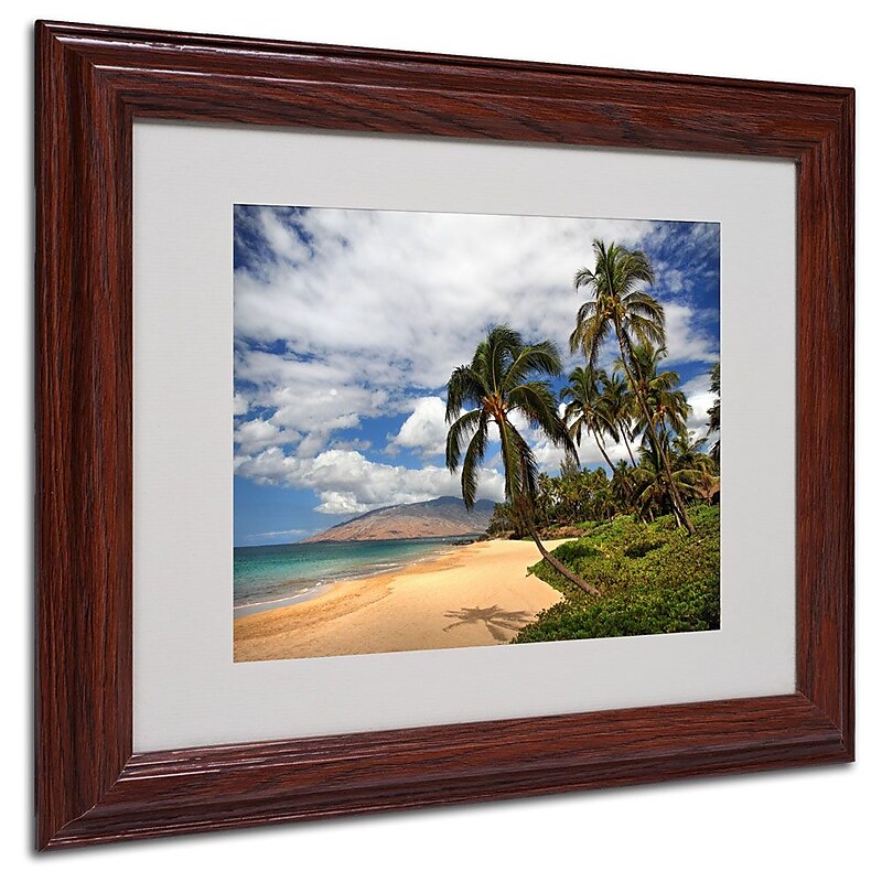 Trademark Fine Art 'Kamaole Tropical' 11" x 14" Wood Frame Art image 1