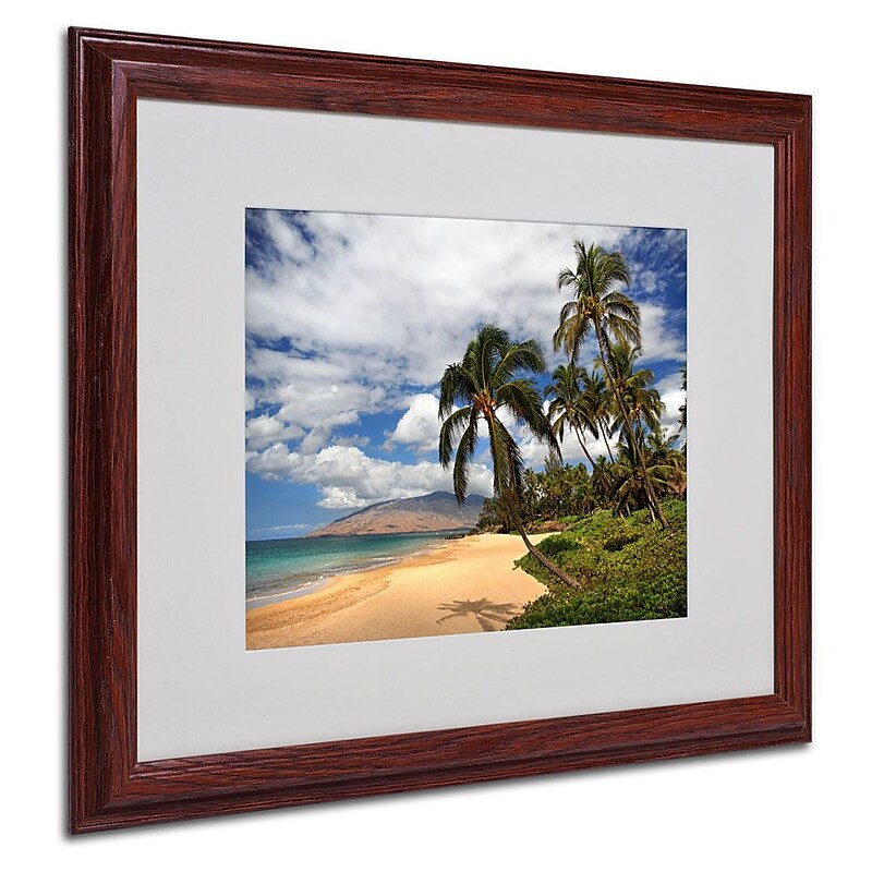 Trademark Fine Art 'Kamaole Tropical' 16" x 20" Wood Frame Art image 1