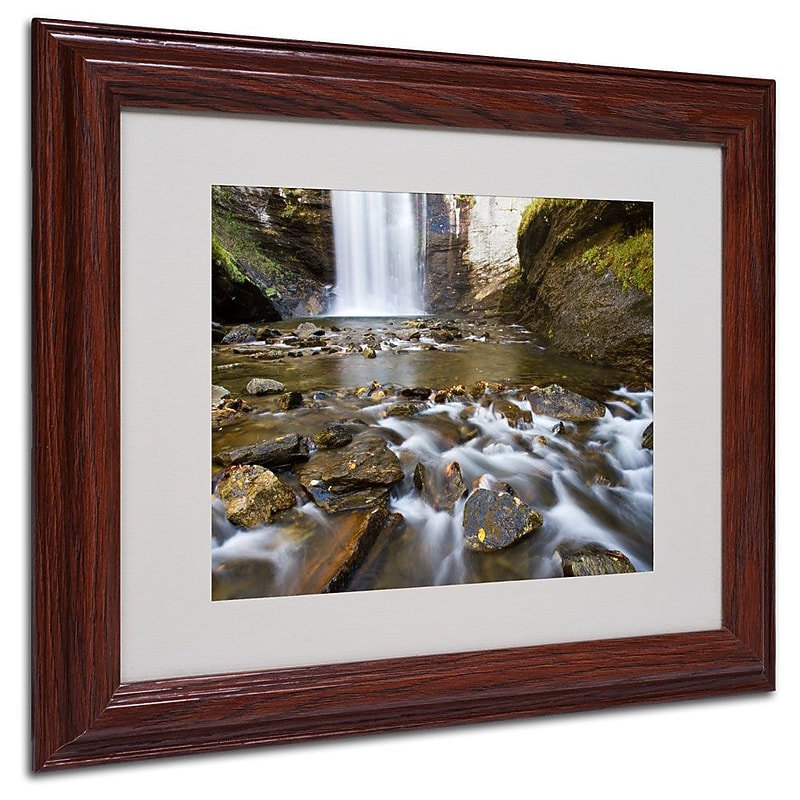 Trademark Fine Art 'Looking Glass Falls' 11" x 14" Wood Frame Art image 1