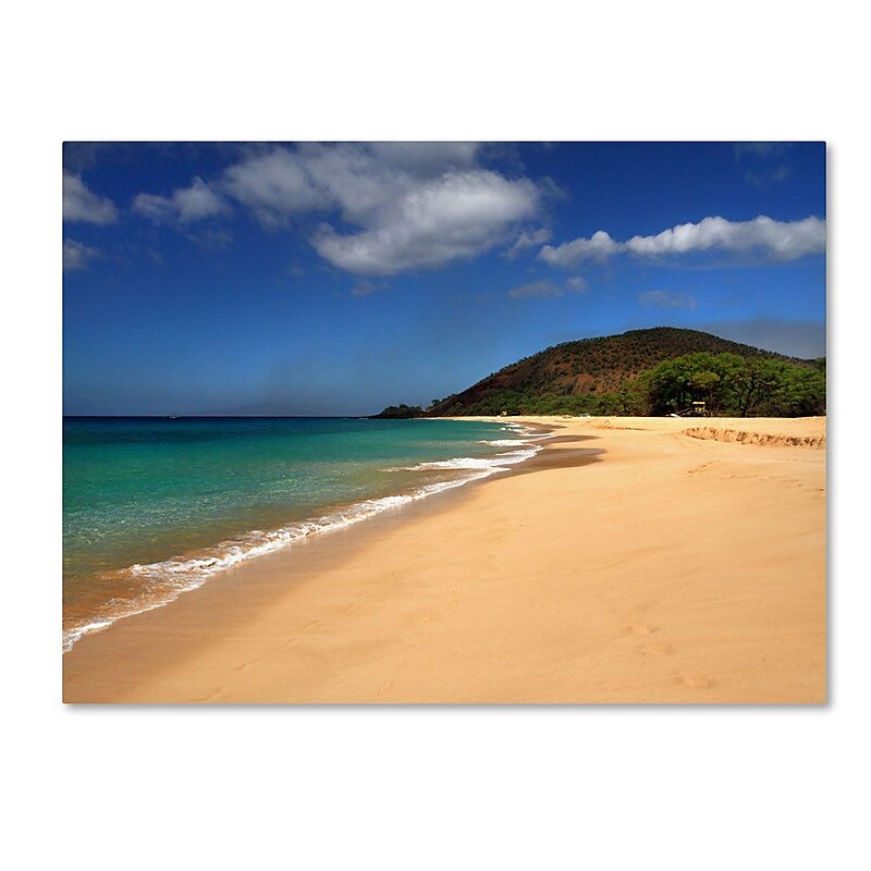 Trademark Fine Art 'Makena Hawaii' 22" x 32" Canvas Art image 1