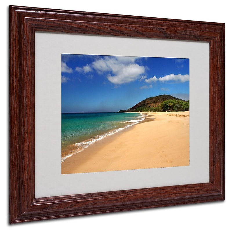 Trademark Fine Art 'Makena Hawaii' 11" x 14" Wood Frame Art image 1