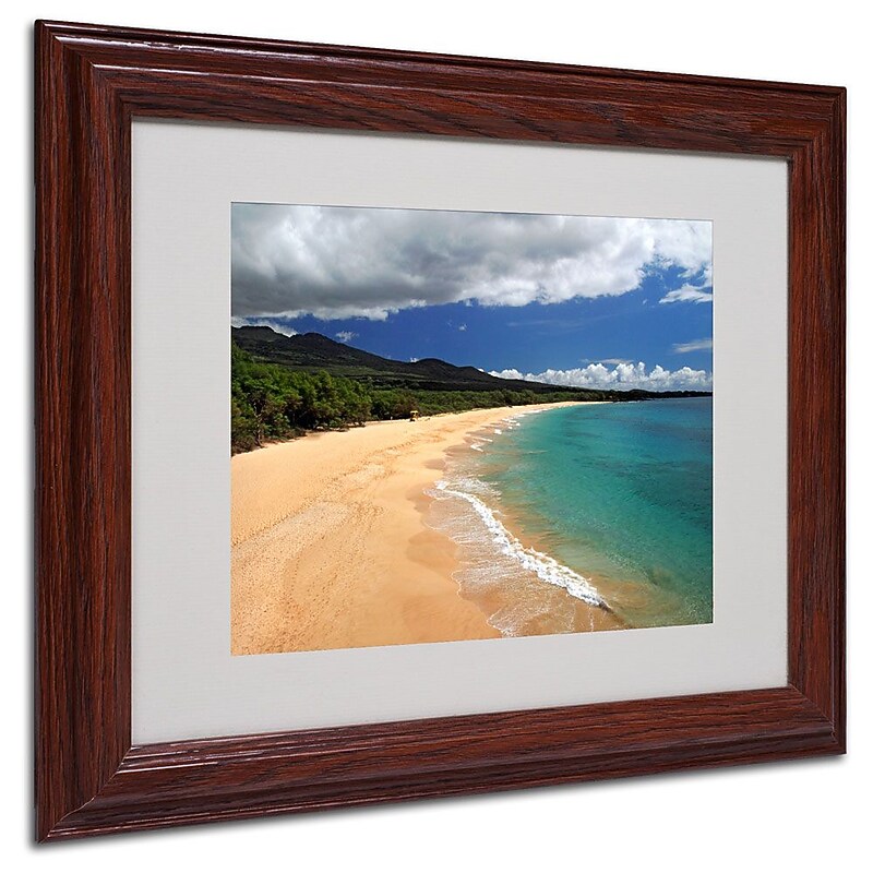 Trademark Fine Art 'Makena Maui' 11" x 14" Wood Frame Art image 1