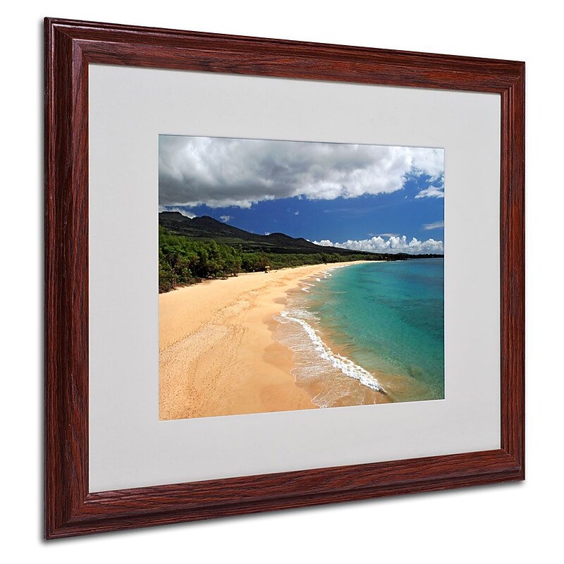 Trademark Fine Art 'Makena Maui' 16" x 20" Wood Frame Art image 1