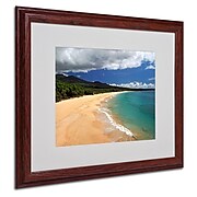 Trademark Fine Art 'Makena Maui' 16" x 20" Wood Frame Art