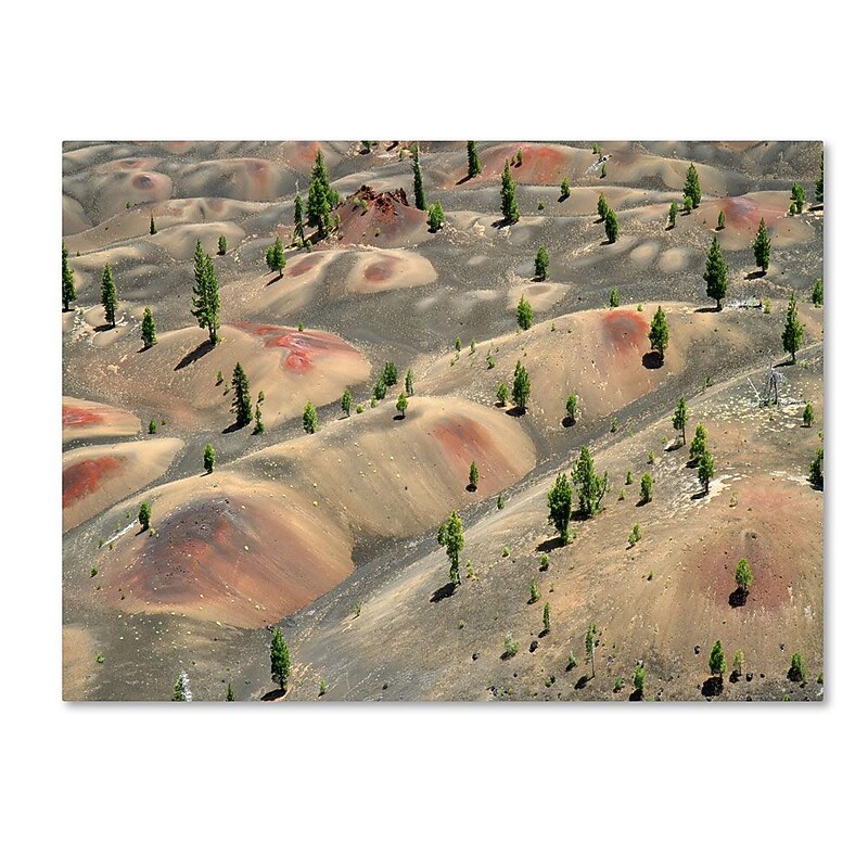 Trademark Fine Art 'Painted Dunes' 18" x 32" Canvas Art image 1