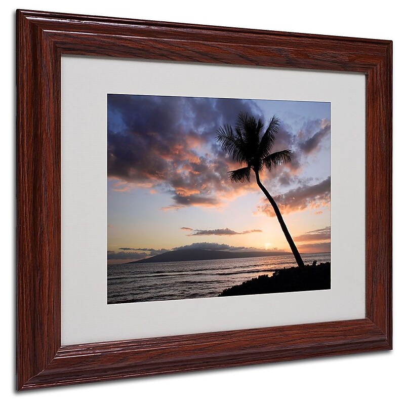 Trademark Fine Art 'Palm Tree Maui' 11" x 14" Wood Frame Art image 1