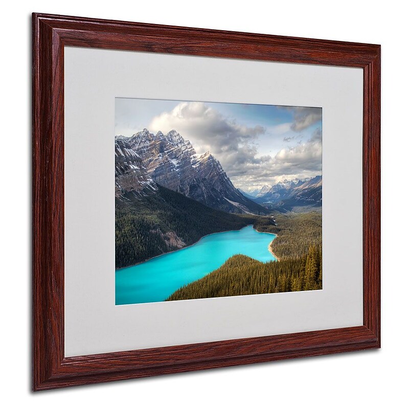 Trademark Fine Art 'Peyto Lake' 16" x 20" Wood Frame Art image 1