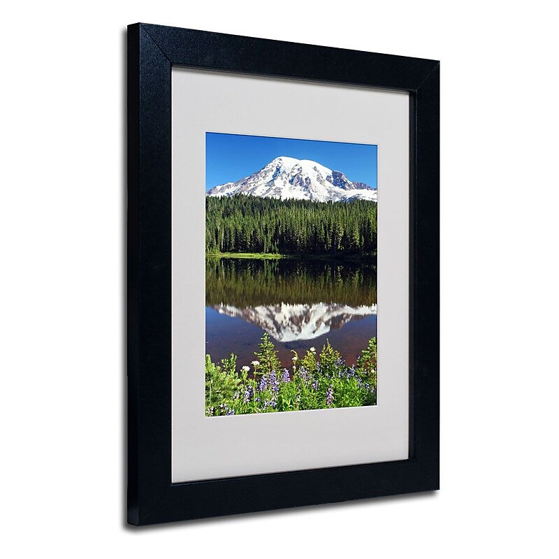 Trademark Fine Art 'Rainier Wildflowers' 11" x 14" Black Frame Art image 1