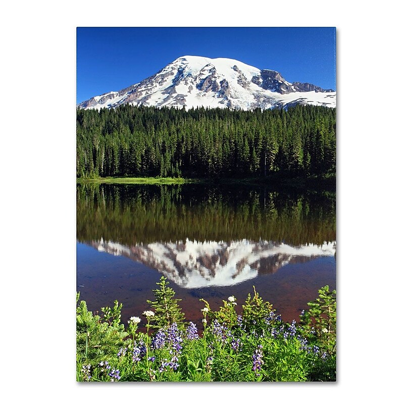 Trademark Fine Art 'Rainier Wildflowers' 16" x 24" Canvas Art image 1