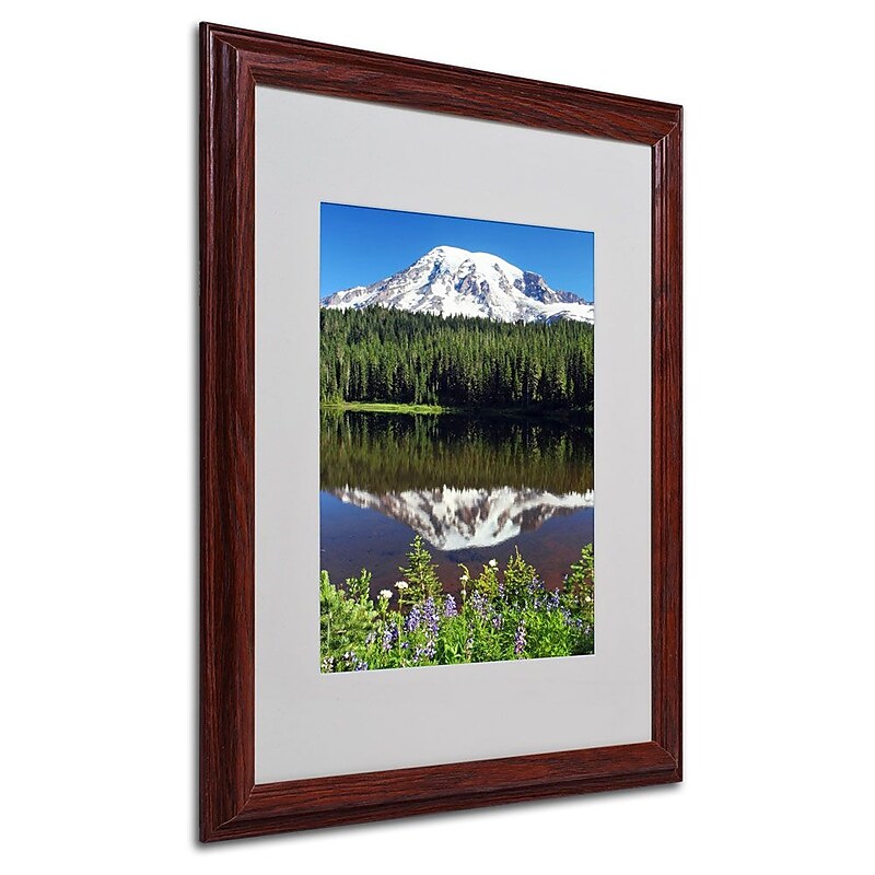 Trademark Fine Art 'Rainier Wildflowers' 16" x 20" Wood Frame Art image 1