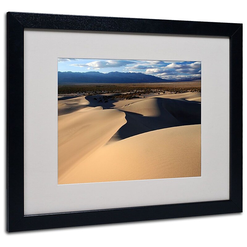 Trademark Fine Art 'Sand Dunes' 16" x 20" Black Frame Art image 1