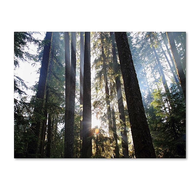 Trademark Fine Art 'Sunrays' 22" x 32" Canvas Art image 1