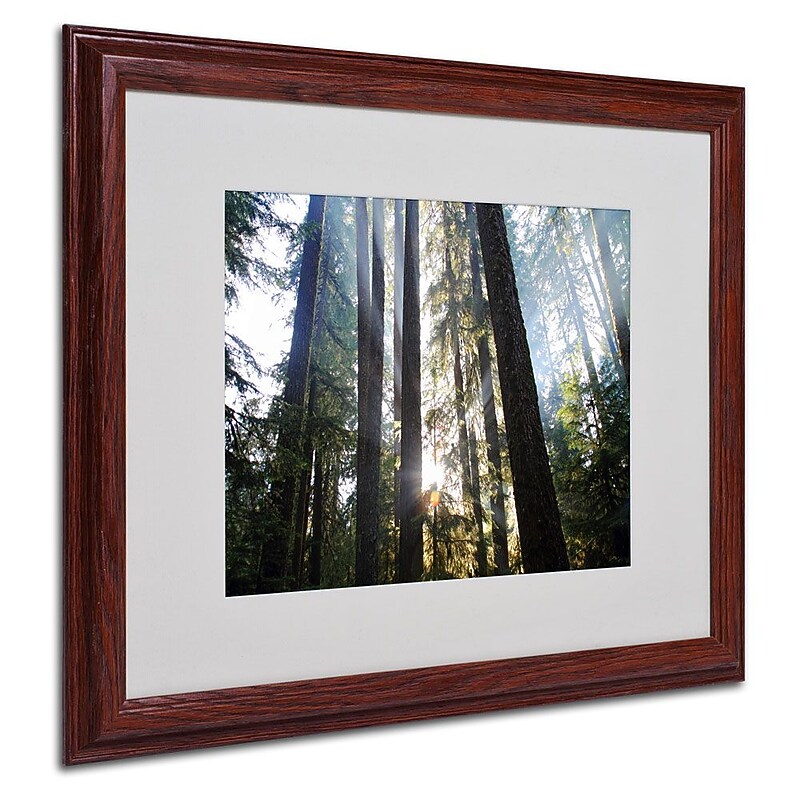 Trademark Fine Art 'Sunrays' 16" x 20" Wood Frame Art image 1