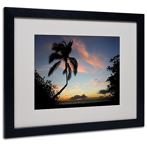 Trademark Fine Art 'Tropical Sunset' 16