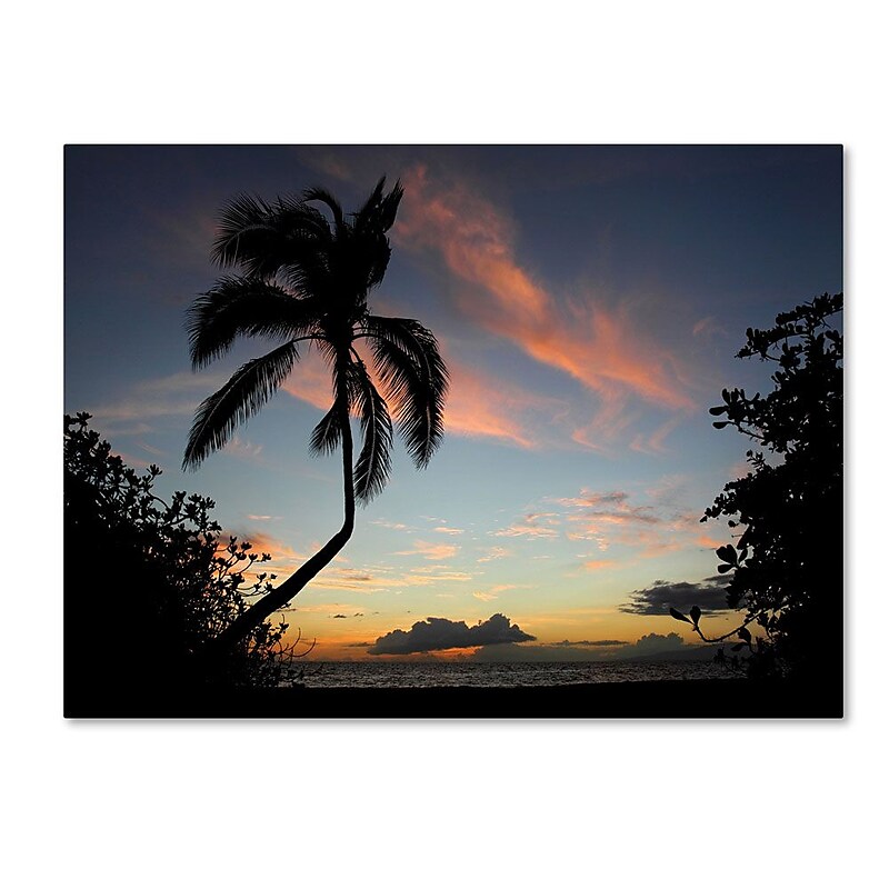 Trademark Fine Art 'Tropical Sunset' 22" x 32" Canvas Art image 1