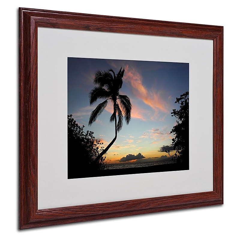 Trademark Fine Art 'Tropical Sunset' 16" x 20" Wood Frame Art image 1