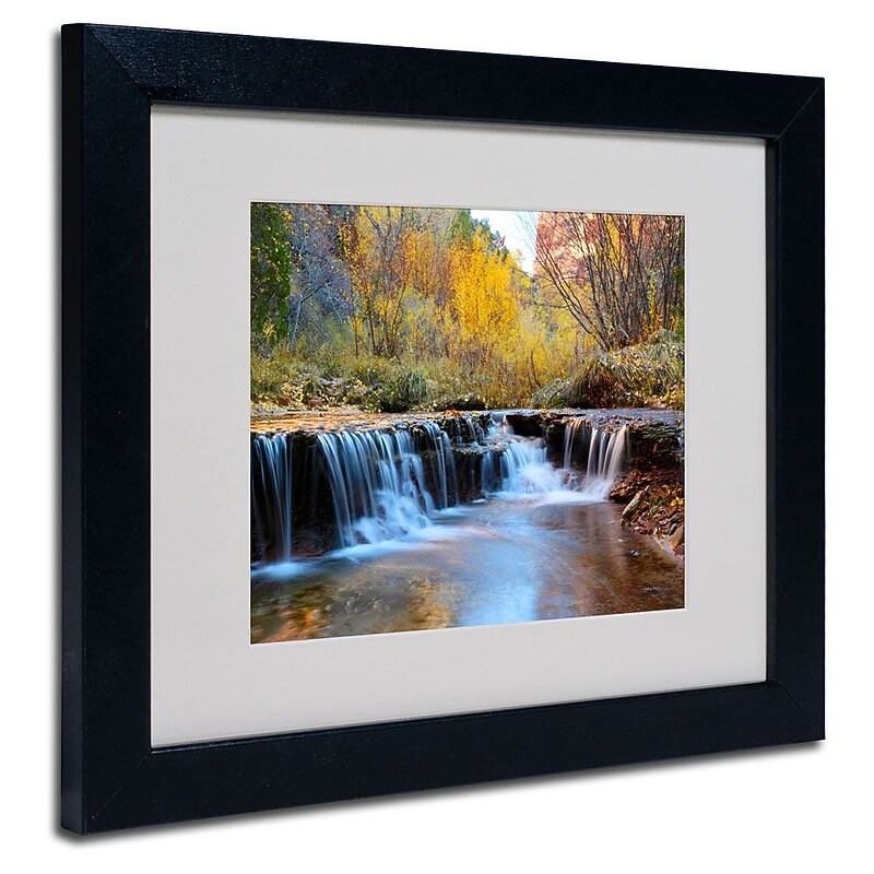 Trademark Fine Art 'Zion Autumn' 11" x 14" Black Frame Art image 1
