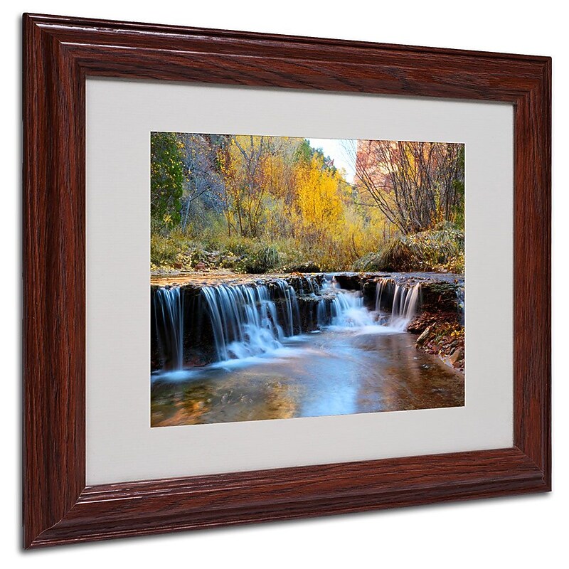 Trademark Fine Art 'Zion Autumn' 11" x 14" Wood Frame Art image 1