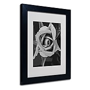 Trademark Fine Art 'Black & White Rose' 11" x 14" Black Frame Art