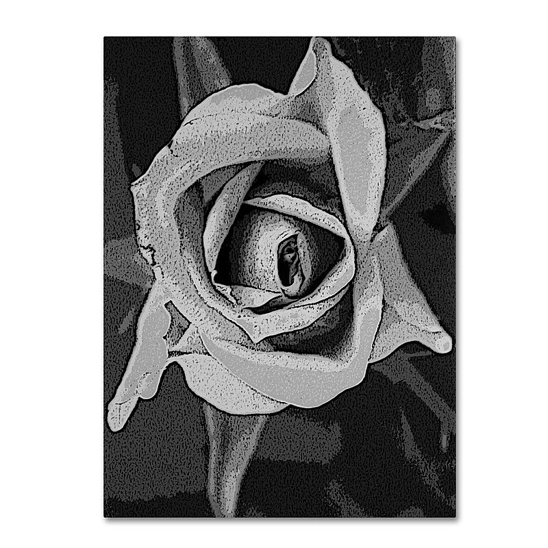 Trademark Fine Art 'Black & White Rose' 14" x 19" Canvas Art image 1