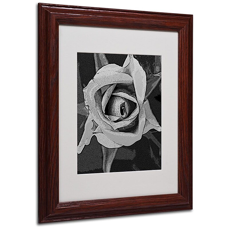 Trademark Fine Art 'Black & White Rose' 11" x 14" Wood Frame Art image 1