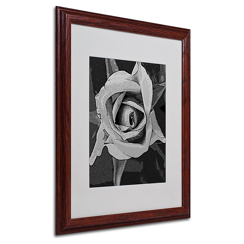 Trademark Fine Art 'Black & White Rose' 16" x 20" Wood Frame Art image 1