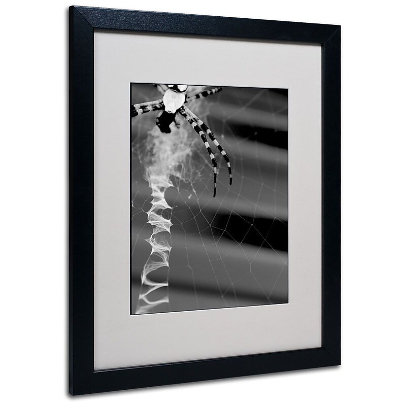 Trademark Fine Art 'Black & White Spider & Web' 16" x 20" Black Frame Art image 1