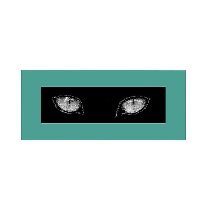 Trademark Fine Art 'Cat Eyes' 12" x 24" Canvas Art image 1