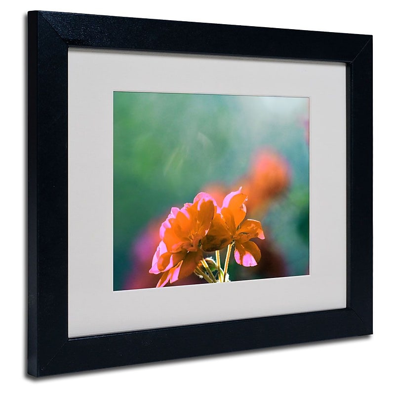 Trademark Fine Art 'Flowers & Sun' 11" x 14" Black Frame Art image 1