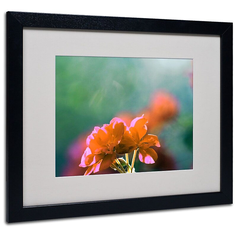 Trademark Fine Art 'Flowers & Sun' 16" x 20" Black Frame Art image 1