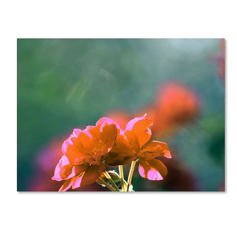 Trademark Fine Art 'Flowers & Sun' 24" x 32" Canvas Art image 1