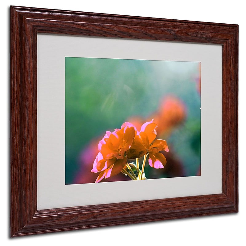 Trademark Fine Art 'Flowers & Sun' 11" x 14" Wood Frame Art image 1