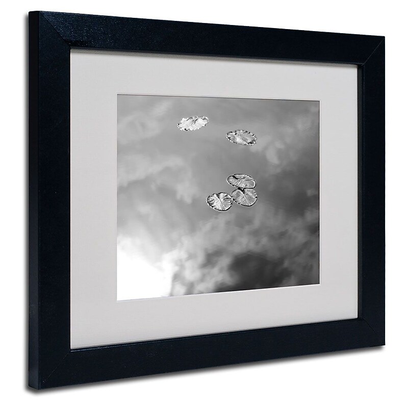 Trademark Fine Art 'Lily Pads & Sky' 11" x 14" Black Frame Art image 1