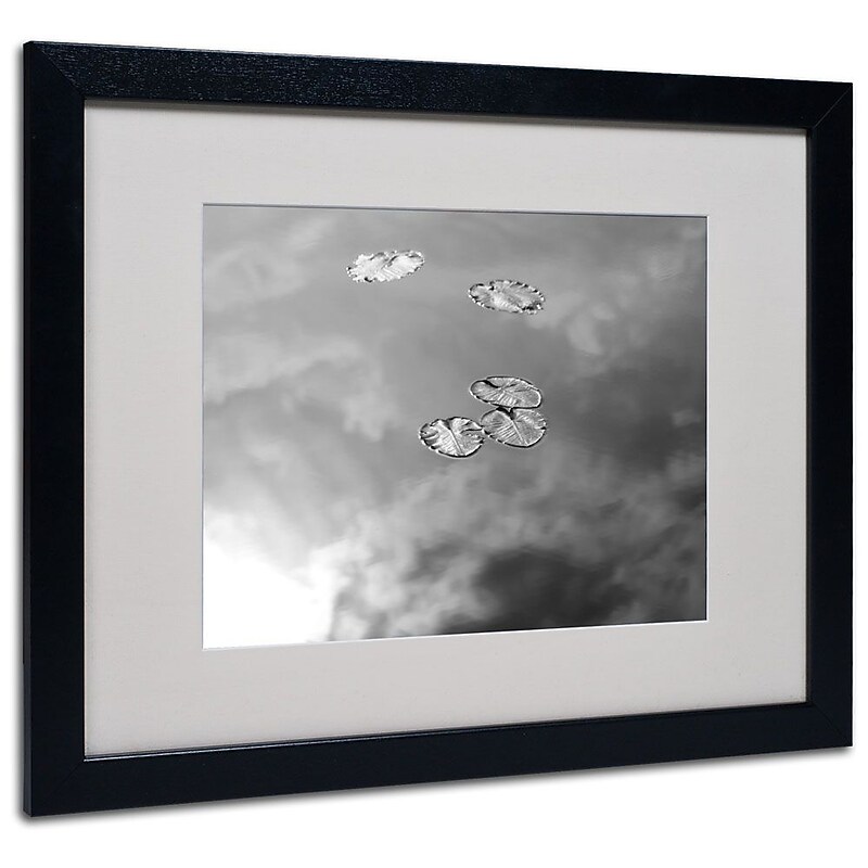 Trademark Fine Art 'Lily Pads & Sky' 16" x 20" Black Frame Art image 1