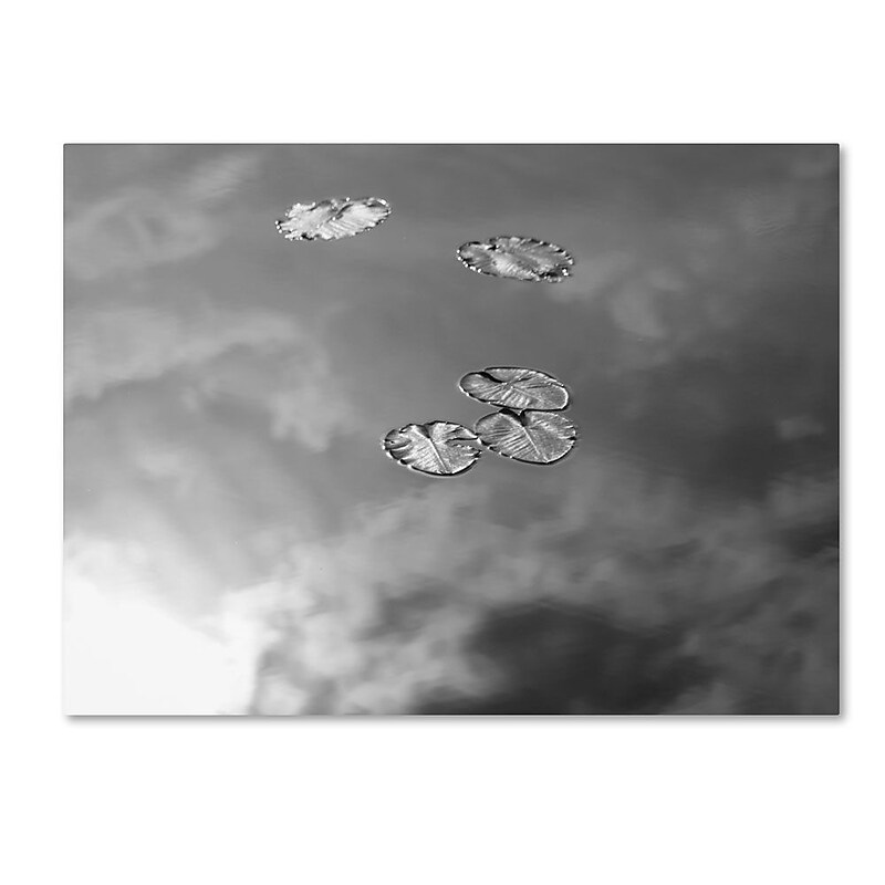 Trademark Fine Art 'Lily Pads & Sky' 14" x 19" Canvas Art image 1