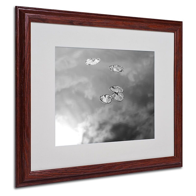 Trademark Fine Art 'Lily Pads & Sky' 16" x 20" Wood Frame Art image 1