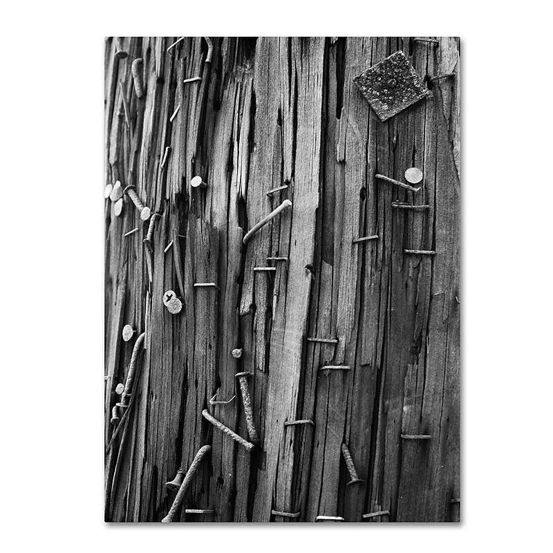 Trademark Fine Art 'Nails & Staples' 22" x 32" Canvas Art image 1