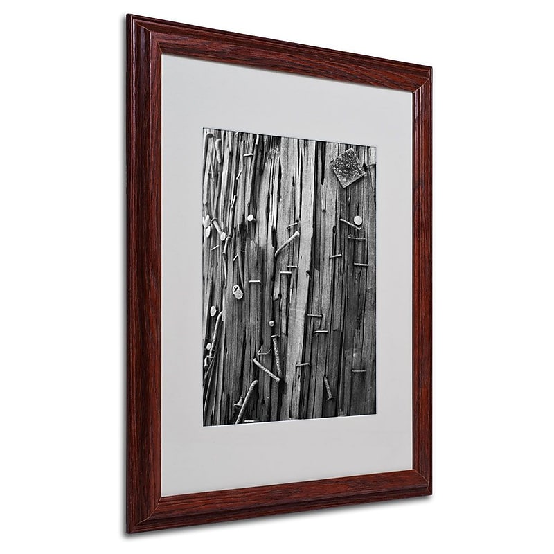 Trademark Fine Art 'Nails & Staples' 16" x 20" Wood Frame Art image 1