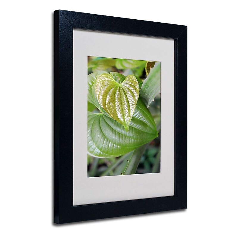 Trademark Fine Art 'Natural Hearts' 11" x 14" Black Frame Art image 1