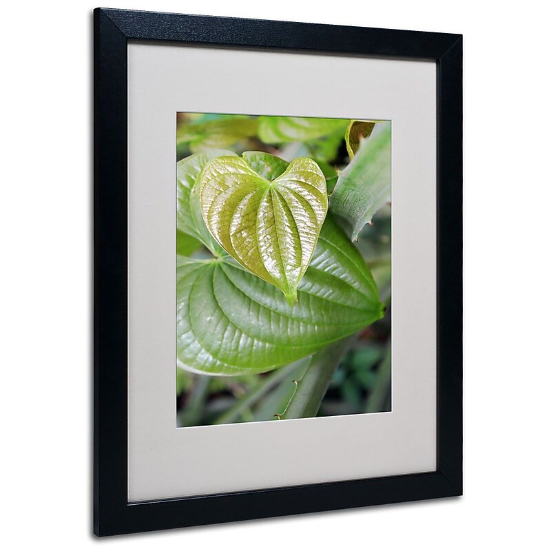 Trademark Fine Art 'Natural Hearts' 16" x 20" Black Frame Art image 1