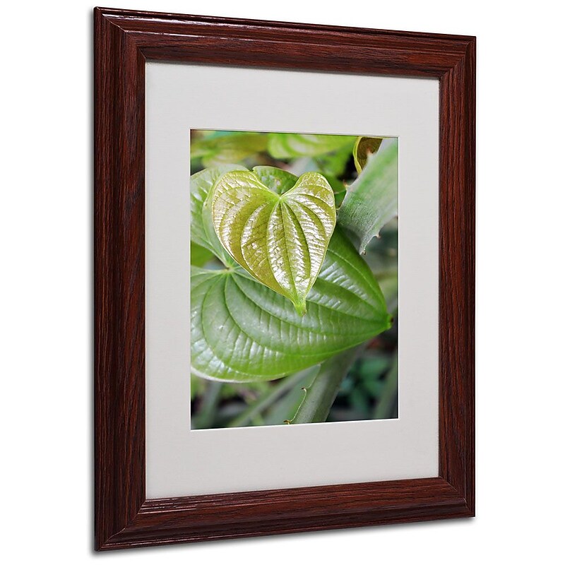 Trademark Fine Art 'Natural Hearts' 11" x 14" Wood Frame Art image 1