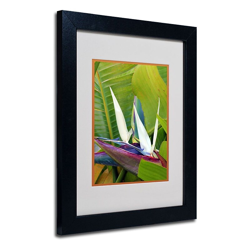 Trademark Fine Art 'Paradise Color' 11" x 14" Black Frame Art image 1