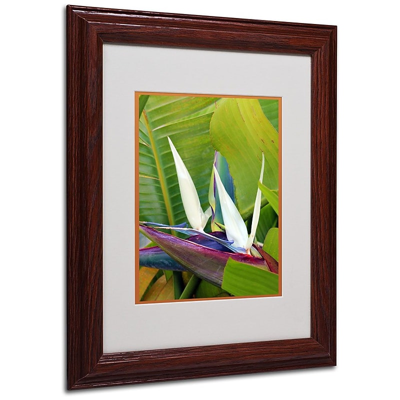 Trademark Fine Art 'Paradise Color' 11" x 14" Wood Frame Art image 1