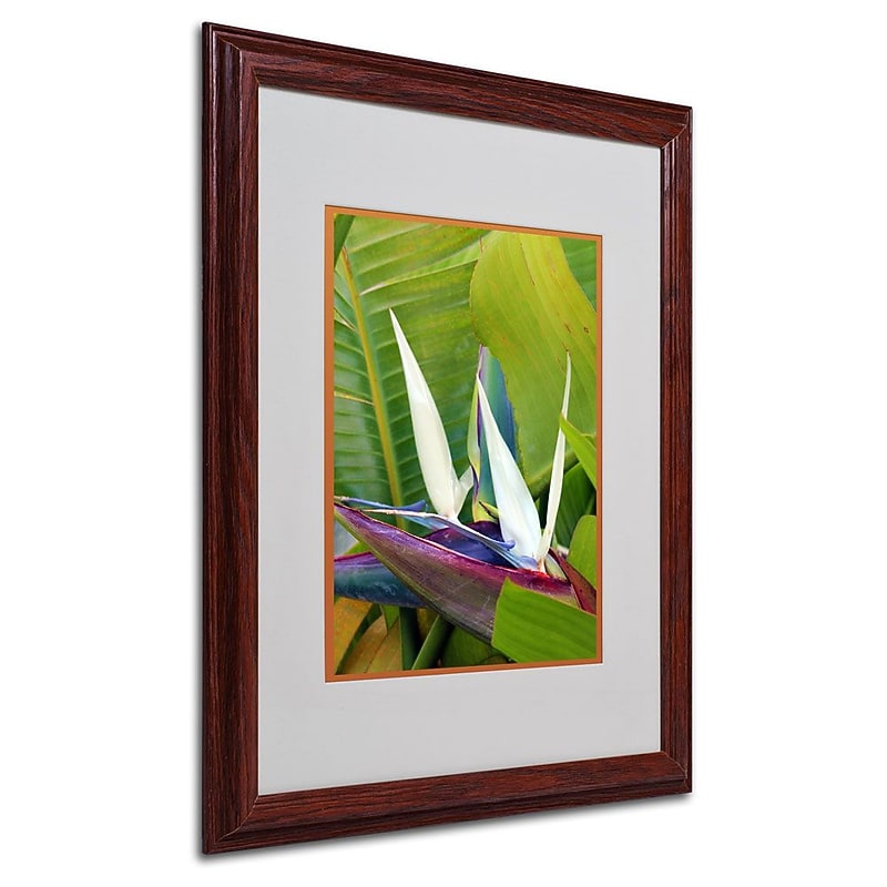 Trademark Fine Art 'Paradise Color' 16" x 20" Wood Frame Art image 1