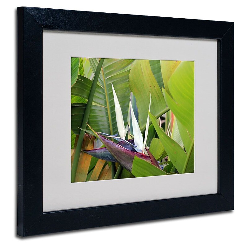 Trademark Fine Art 'Paradise 2' 11" x 14" Black Frame Art image 1